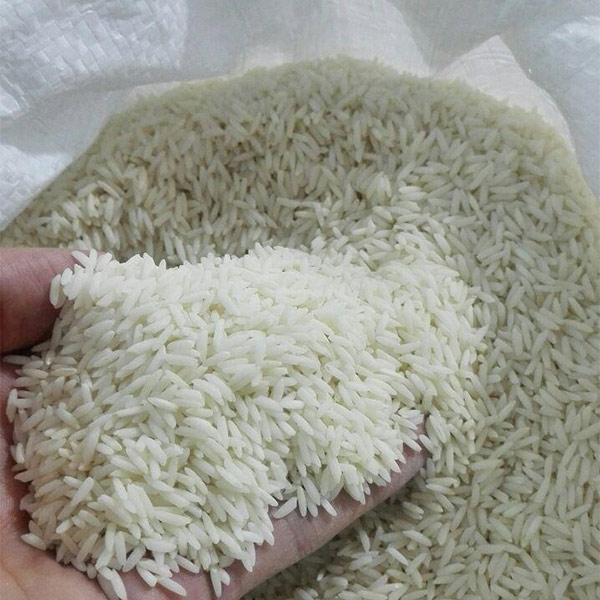 قیمت برنج هاشمی در دست