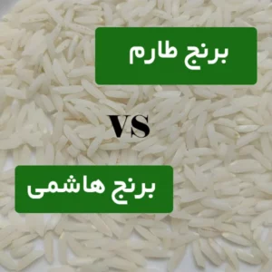 تفاوت برنج طارم و هاشمی