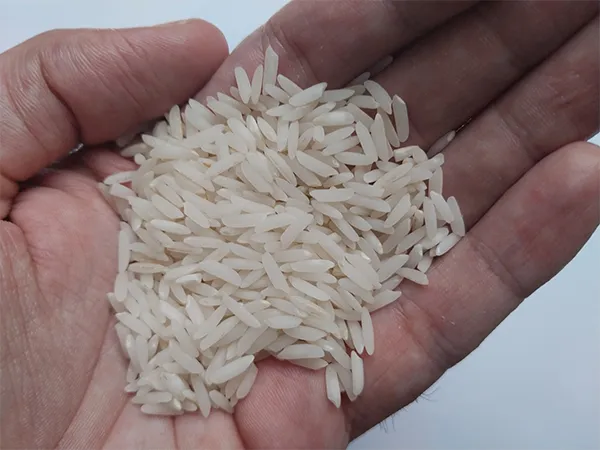برنج هاشمی در دست